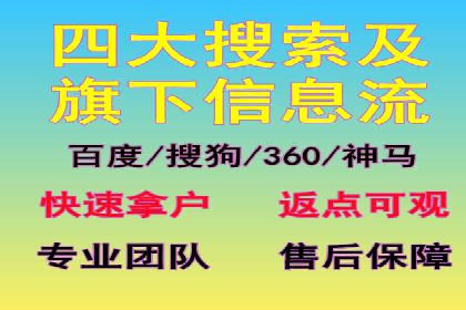 高效SEM托管服务：成功案例深度解析